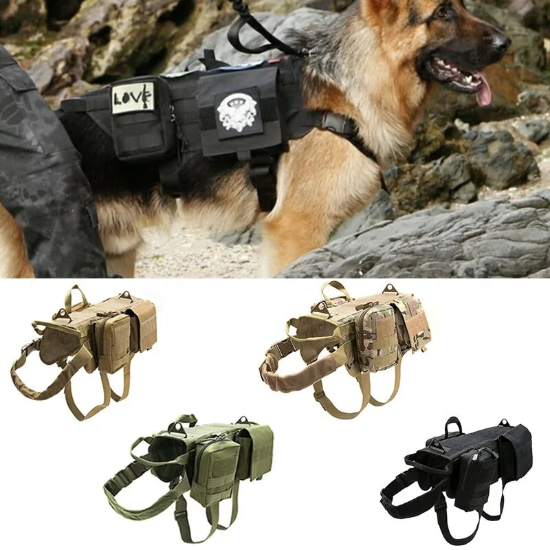 Pet Accessories