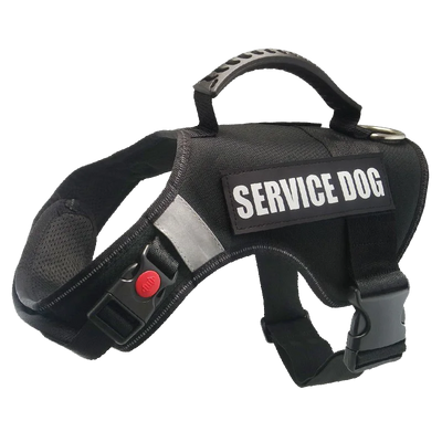 46217362473179|46217362505947|46217362538715|46217362669787|46217362702555|46217362735323